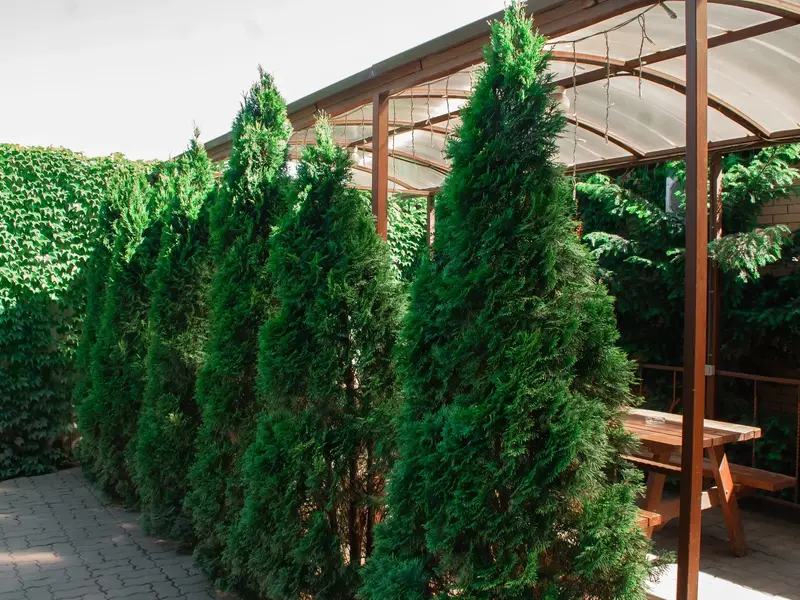 Беседка на свежем воздухе рядом с семейной сауной в Аксае